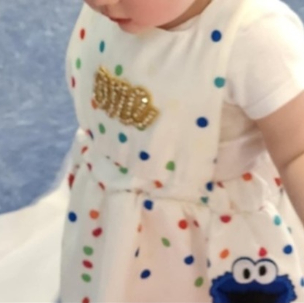 Elmo Dress Smash Cake First Birthday Cookie Monster Clothes Sesame Street Abby - Picture 6 of 6